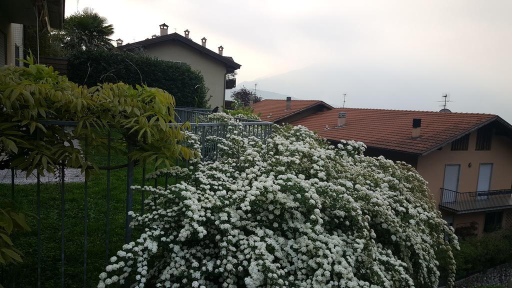 Apartment Weiss Home Riva del Garda Ngoại thất bức ảnh